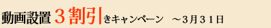 動画３割引きキャンペーン